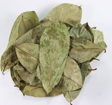 SourSop Leaf