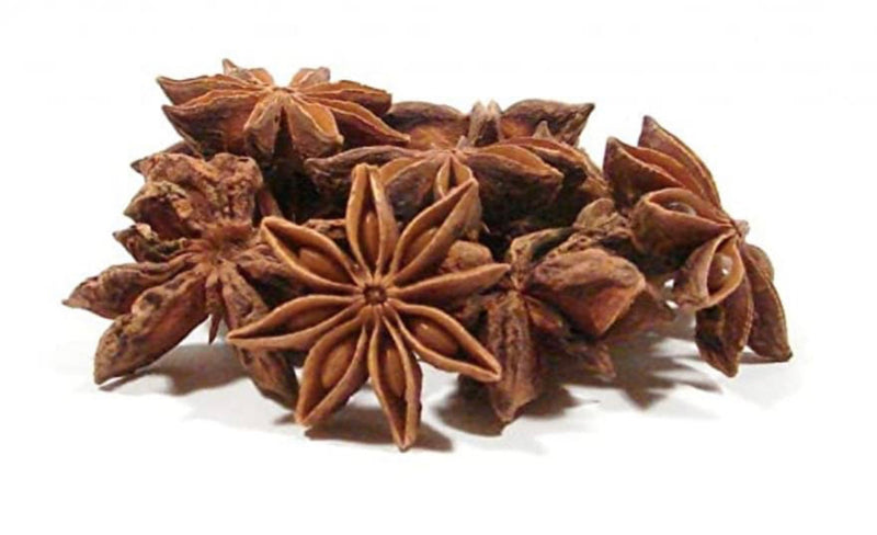 Cinnamon Star / Haitian Canell